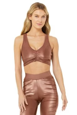 Shine Wild Thing - Chestnut Shine